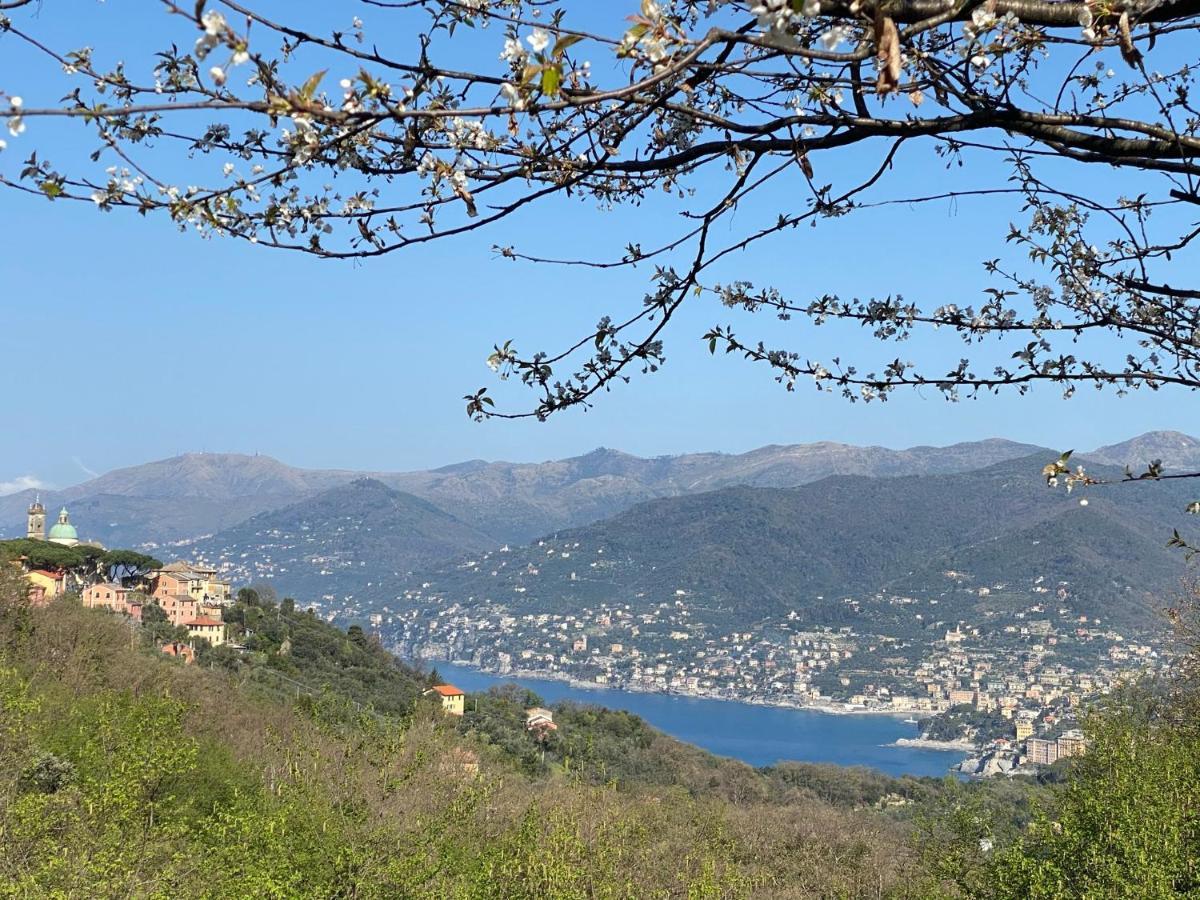 Liguria Home 4 - Recco Centro A 2 Minuti Dal Mare מראה חיצוני תמונה